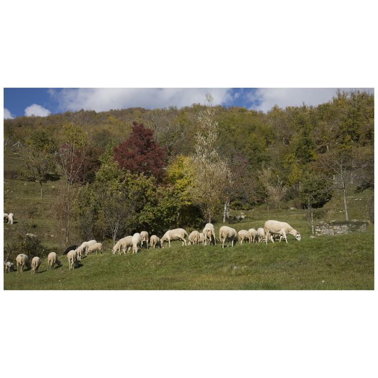 Montagna Verde Βίλα Licciana Nardi Εξωτερικό φωτογραφία